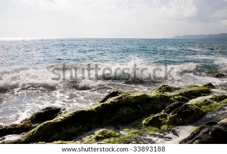 Beautiful sunny sea coast with waves on the sea