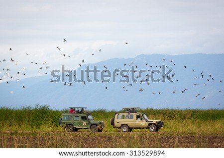 LAKE MANYARA, TANZANIA - AUGUST 4, 2015: Safari cars driving inside the Lake Manyara National Park with birds flying around in northern Tanzania, Africa