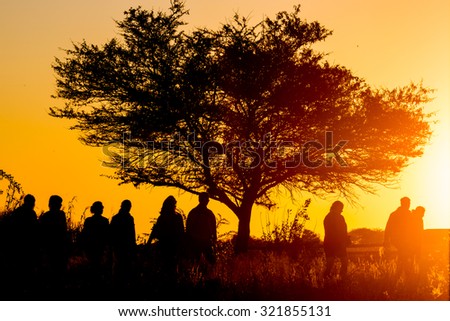 Silhouette of a group of people walking in the sunset with a tree in the middle. Etosha National Park, Namibia, Africa