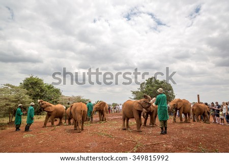 Nairobi, Kenya - October 15th 2015 - Tourists and locals visiting the Sheldrick Elephant Conservancy in Nairobi, Kenya\'s capital, East Africa.