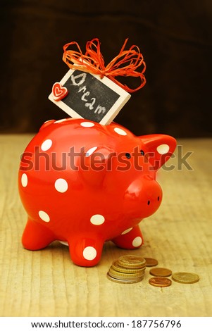 Funny Dotted Red Piggy Bank - Save for your Dream Concept