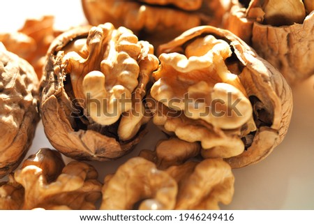 Close up macro photo of walnut kernels  and shells as seen in white background