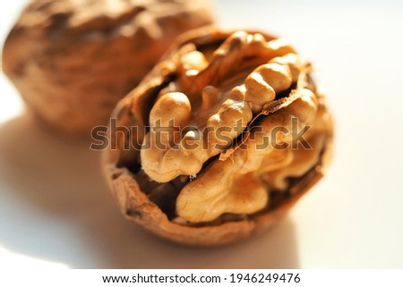 Close up macro photo of walnut kernels  and shells as seen in white background