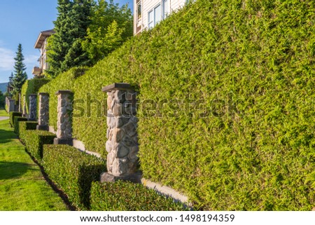 Fence built from trees and stones. Outdoor landscape. Security and privacy concept. Vancouver. Canada.