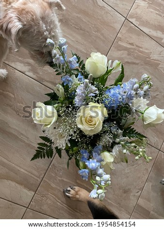 a white and blue floral bouquet arrangement of delphinium astroemerias chrysanthemums baby\'s breath and roses