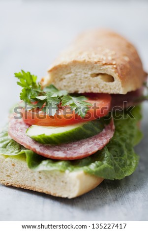 gourmet sandwich with salami,tomato, cucumber and greens