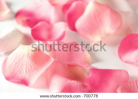 close up of artificial rose petals