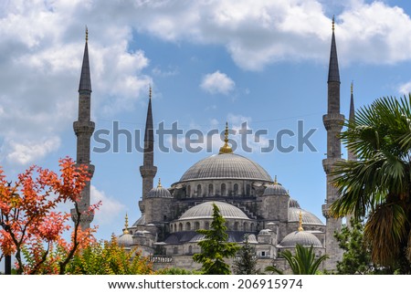 Sultanahmet Mosque (Blue mosque) with pink leaf
