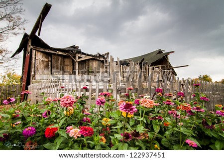 Life and Death:  a burned down building with flowers flourishing in front.