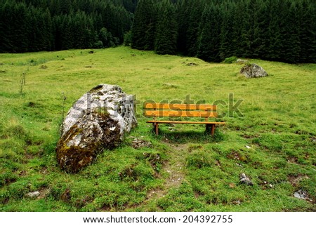 Bench in the middle of the forest of the Alps Mountains