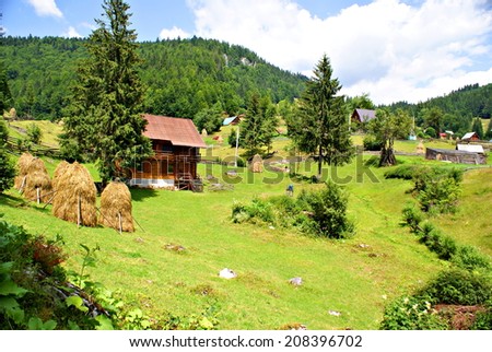Beautiful nature in an eco friendly romanian village in  the Carpathians Mountains