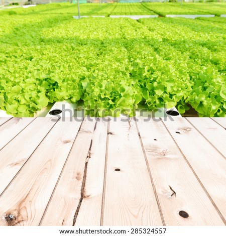 Wood table top on Cultivation hydroponic green vegetable in farm plant market  - can used for display or montage your products