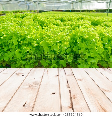 Wood table top on Cultivation hydroponic green vegetable in farm plant market  - can used for display or montage your products