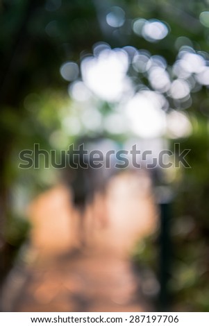 Blurred of people walk through the green trees tunnel on the way to the  light at the end of tunnel with light bokeh