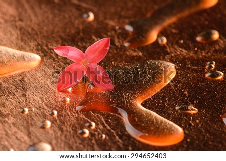 Red flowers and droplets on the surface of copper. Feel freshness spa concept,  studio shot spa and aromatherapy concept