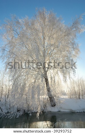 Winter postcard. Sunny tree with rime reflected in the river. Winter morning - snow, frost and sun shining