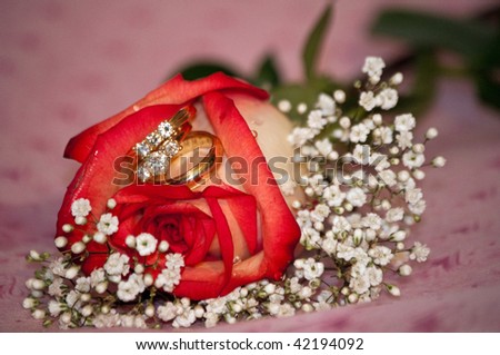 a single rose with 2 diamond ring and a wedding band and baby\'s breath
