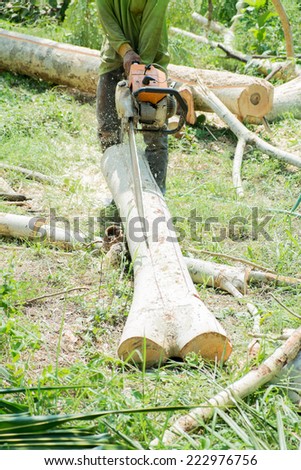 BANGKOK ,THAILAND - OCTOBER 12, 2014 : Adult carpenter cutting wood with Old Chain saw in green background at bangkok, Thailand