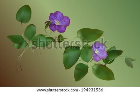 Beautiful purple flower blossom with green leaves. Vector Flower.