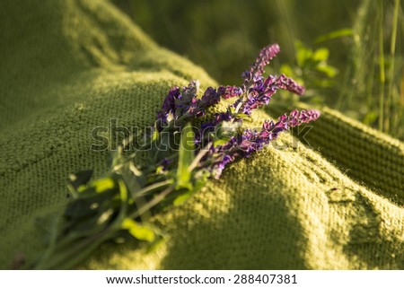 summer flowers on the knitted blanket