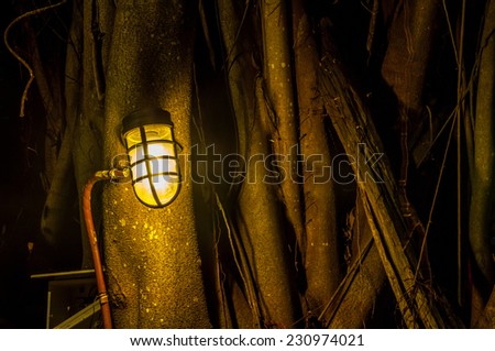 lamp on tree at night time