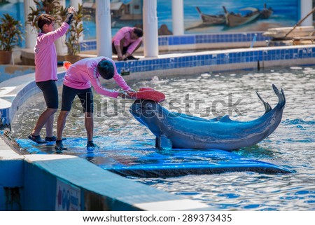 Thailand, June 21 2015, dolphin jumping above pool to ware red  hat between show in water park in Chantaburi town, Thailand.