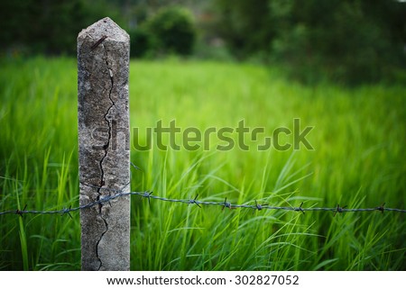 split cracked fence post with plain wires green and dry grass, space for text