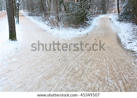 two paths leading different directions - winter scene