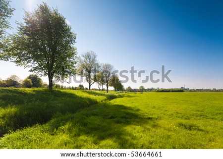 meadow in the flat land