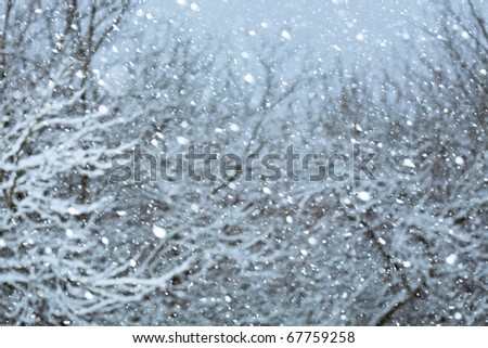 Romantic Snowfall