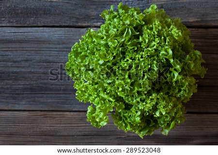 Salad lettuce natural organic vegetarian snack on vintage wooden background. Rustic style and natural light.