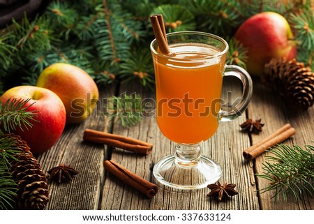 Hot apple cider traditional winter season drink with cinnamon and anise. Homemade healthy organic warm spice beverage. Christmas or thanksgiving holiday decoration on vintage wooden background.
