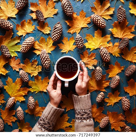 Floral autumn background. A mug of coffee in a woman\'s hand in a sweater on the green background with yellow falling leaves maple and cones. Hello autumn. Flat lay instagram fashion drink composition.