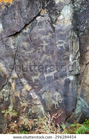 Lot of cave paintings on the rock