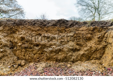 Cross section of excavation showing layers in soil with different horizons