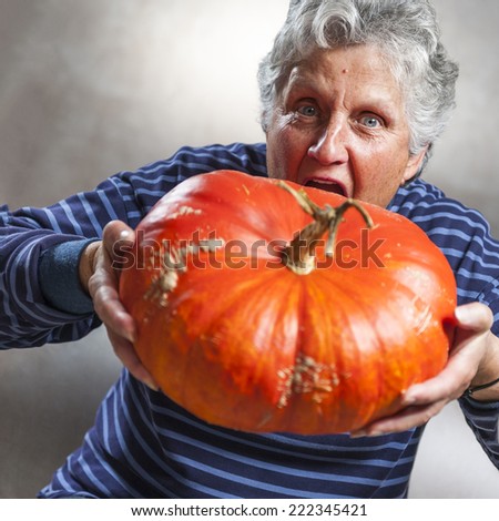 Halloween theme. Closeup of an old woman eating a big ripe pumpkin freshly harvest in autumn. Studio shoot and color image.