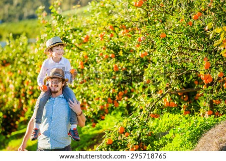 Happy father with his young son enjoying family time on citrus farm picking oranges, lemons and mandarins. Relationships, family concept