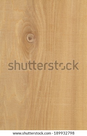 Natural Brown Wood Grain Textured Background with Tree knot.