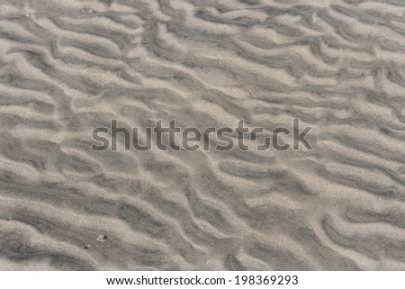 Texture  wavy sandy bottom of the White Sea at low tide. Russian North, the Solovetsky Islands