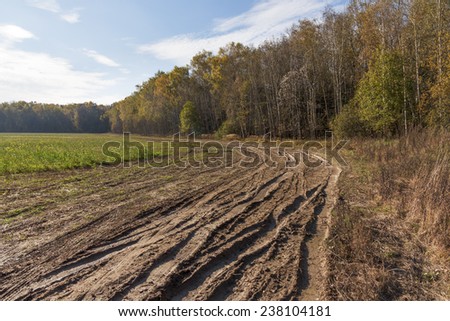 Dirty rutted dirt road on a sunny autumn day in the field at the edge of the forest