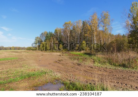 Dirty rutted dirt road on a sunny autumn day in the field at the edge of the forest