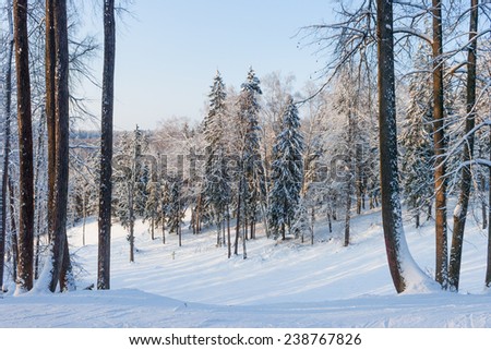 Winter landscape on a sunny frosty day with the top of the hill in the forest