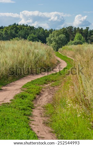 Summer landscape with grant covering road overgrown with tall grass in the field on a sunny day