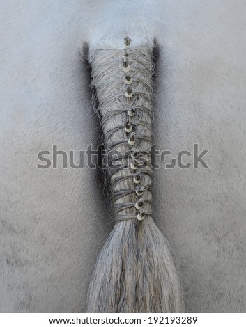 Horse\'s plaited tail