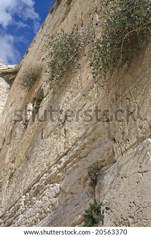 The Wailing Wall, Jerusalem, Israel(Western Wall)
