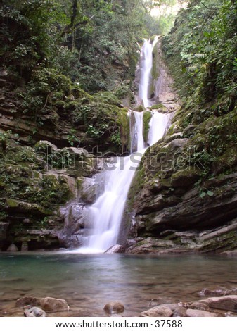 Waterfall in the jungle