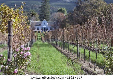 A traditional Cape Dutch homestead on a wine farm called Buitenverwachting in Constantia, Cape Town, South Africa