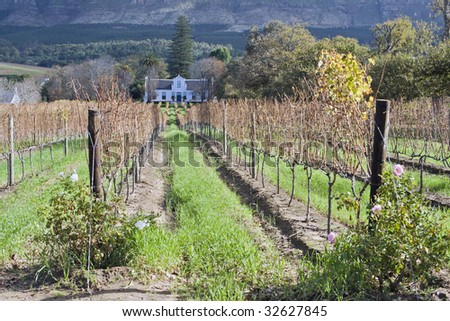 A traditional Cape Dutch homestead on a wine farm called Buitenverwachting in Constantia, Cape Town, South Africa