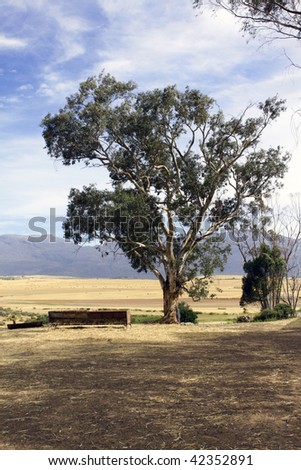 Farm scene on a wheat farm near Ceres, South Africa.
