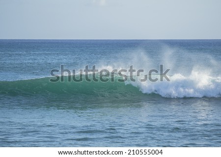 Description:  An ocean swell begins to break. Title:  Wave.